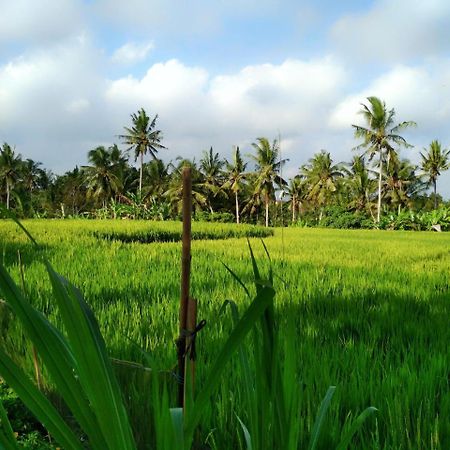 Uma Loka Villa By Shm Ubud Kültér fotó