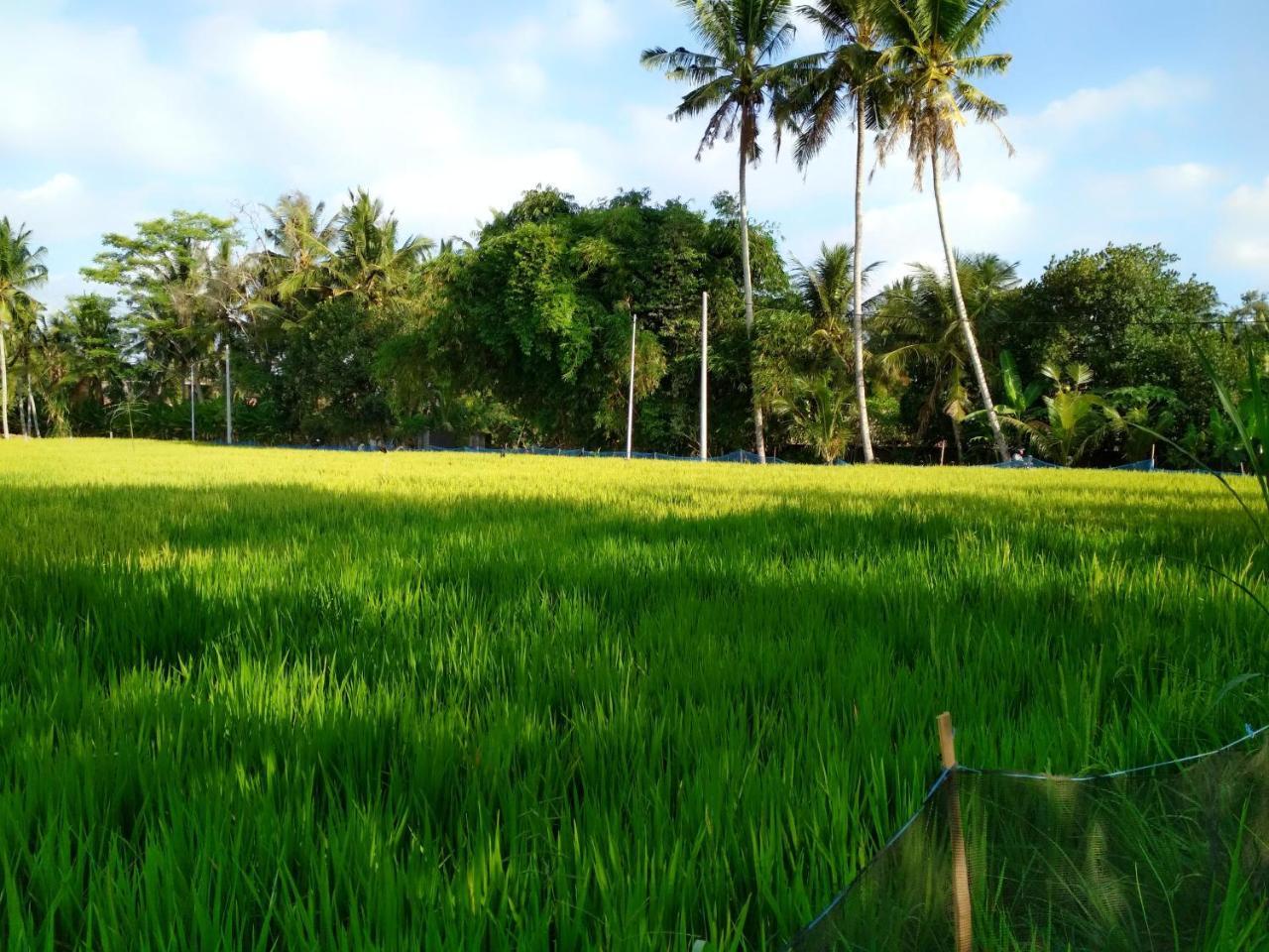 Uma Loka Villa By Shm Ubud Kültér fotó